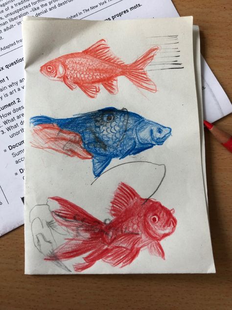 Aesthetic Fish, Sketch Aesthetic, Fish Sketch, Color Pencil Sketch, Color Pencil Illustration, Blue Drawings, Fish Drawing, Gcse Art Sketchbook, Fish Drawings