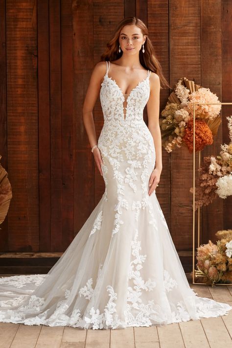 Wedding Dress Fit And Flare Lace, Bridal Gown Fit And Flare, Lace Fit And Flare Wedding Dress Open Back, For And Flare Wedding Dress, Fit And Flare Wedding Dress Lace, Fit And Flare Wedding Dress Strapless, Fit To Flare Wedding Dresses, Lace Fit And Flare Wedding Dress, Wedding Dresses Slim Fit