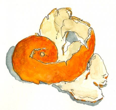 orange peel Orange Peel Art, Orange Peel Drawing, Orange Peel Tattoo, Oranges Sketch, Oranges Drawing, Tangerine Tattoo, Orange Drawings, Orange Fruit Art, Orange Sketch