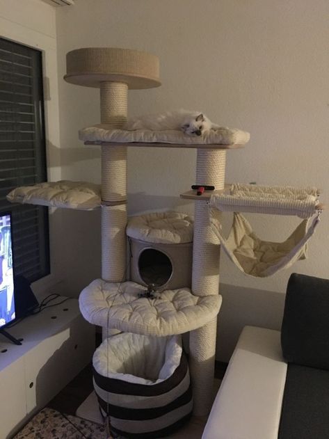 Cat Stuff Aesthetic, Cat Tower Aesthetic, Cat Room Aesthetic, Cat Set Up, Aesthetic Cat Tree, Cat Room Diy, Cat Room Decor, Colorful Hairstyles, Cat Tree House