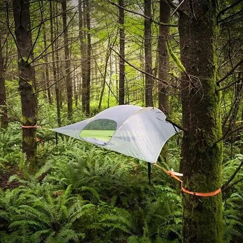 Forest Camping. Suspended Tent, Camp Lodge, Zelt Camping, Tenda Camping, Tree Tent, Hanging Tent, Tent Campers, Hammock Tent, Hanging Hammock