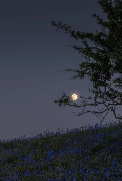 Kam Core, Dark Naturalism, The Moon Is Beautiful, Dark Paradise, Moon Photography, Earth Lover, Foto Art, A Hill, Night Aesthetic