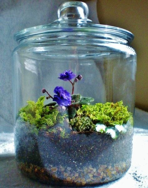 Moss Gardens, Terrariums Diy, Empty Candle, Spring Planter, Beautiful Terrariums, Mini Gardens, Moss Terrarium, Moss Garden, Terrarium Diy