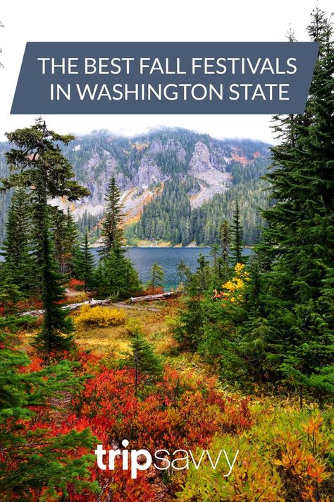 The Best Annual Fall Festivals in Washington State Washington In The Fall, Fall In Washington State, Washington Fall, Washington Things To Do, Port Angeles Washington, October Travel, Leavenworth Washington, Pacific Northwest Travel, Celebrate Everything