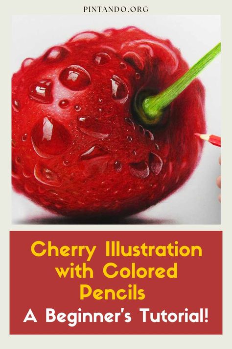 Discover the enchanting world of colored pencil art with our beginner-friendly tutorial! 🎨🍒 Join us as we guide you step-by-step through the process of creating a stunning cherry illustration using colored pencils. 🖍️🍒 Whether you're an experienced artist or just starting your creative journey, this tutorial is designed to help you master essential techniques like shading, blending, and capturing intricate details. 🌟🎉 Unleash your inner artist and bring a burst of vibrant color to your ... Coloured Pencil Artwork, Color Pencil Tutorial Step By Step, Colored Pencil Drawing Tutorial Step By Step, Colored Pencil Tutorial Step By Step, Cherry Art Drawing, Colored Pencil Step By Step, Cherry Artwork, Coloured Pencil Techniques, Cherry Illustration