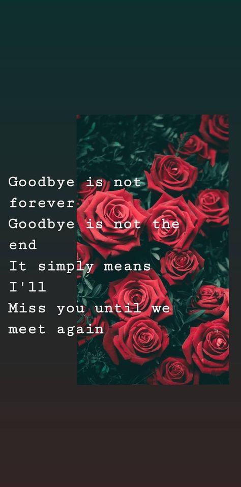 This Isnt Goodbye This Is Simply See You Later, Goodbye Until We Meet Again, I Hope We Meet Again, Will I Ever See You Again Quotes, Not A Goodbye But See You Later Quotes, It’s Not Goodbye Its See You Later, You Will Be Missed, When I See You Again, We Will Meet Again Quotes