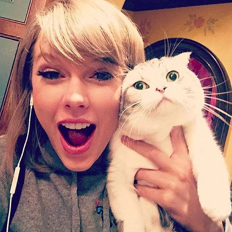 Taylor Swift Random Pics, Taylor Swift Being Cute, Taylor Swift Selfie, Taylor Swift Cats, Taylor Swift Instagram, Taylor Swifr, Taylor Swift 2014, Cute Taylor Swift, Taylor Swift Top