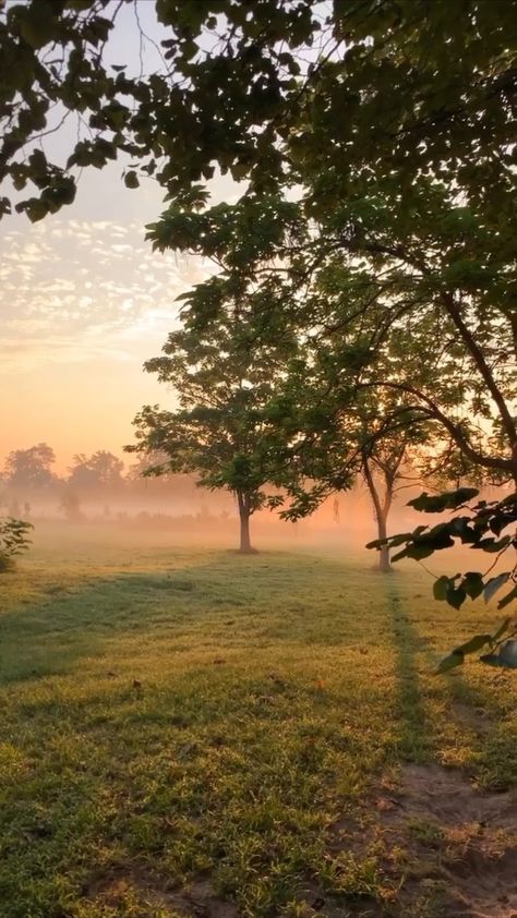 Early Morning Aesthetic Wallpaper, Early Summer Morning Aesthetic, Romanticizing Morning, Early Mornings Aesthetic, Early Summer Aesthetic, Morning Light Aesthetic, Morning Astethic, Waking Up Early Aesthetic, Early Morning Nature