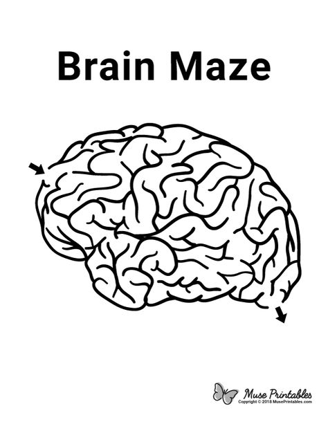 Free printable brain maze. Download it at https://museprintables.com/download/maze/brain/ Brain Crafts For Kids, The Brain For Kids, Brain Worksheet, Brain Printable, Brain Shape, Brain Craft, Body Preschool, Visual Tracking, Human Body Unit