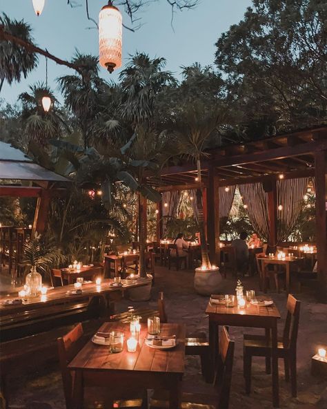 Tulum Inspired Restaurant, Zoo Restaurant Design, Tropical Restaurant Design Exterior, Forest Restaurant Design, Evening Restaurant, Jungle Cafe, Jungle Restaurant, Tropical Restaurant, Jungle Hotel