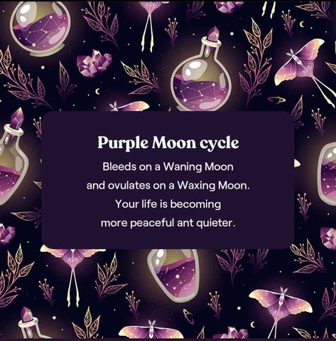 Purple Moon Cycle, Period Quotes, Aunt Flow, Period Blood, Spiritual Care, Womb Healing, Purple Moon, Moon Book, Moon Cycle