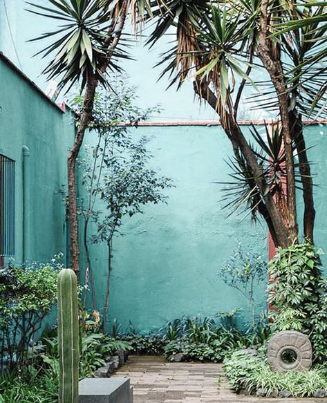 Mexican Courtyard, Mexican Garden, Pintura Exterior, Mexican Home, Walled Garden, Courtyard Garden, Back Garden, Small Gardens, Blue Walls