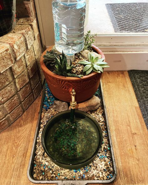 Outdoor Cat Fountain, Dog Water Bowl Ideas Indoor, Flower Pot Dog Water Bowl, Cat Grass Water Bowl, Dog Water Bowl With Plants, Dog And Cat Feeding Station Ideas, Indoor Dog Water Station, Outdoor Water Bowls For Dogs, Diy Cat Water Fountain With Plants