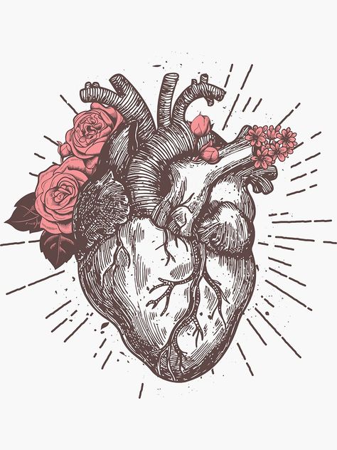 Anatomical Heart, Human Heart, Roses, Human, Floral, Flowers