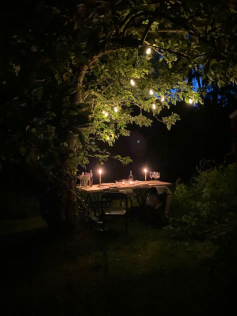 Garden Date Aesthetic, Garden At Night Aesthetic, Garden Night Aesthetic, Gardens At Night, Gilroy Gardens, Big Cabin, Descanso Gardens, Brookgreen Gardens, Garden At Night