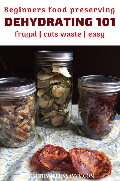 Dehydrating food is easy, economical, and lets you enjoy the bounties of your summer garden all year round! Never tried dehydrating food before? Here’s what you need to know to get started. #dehydratingfood #foodpreservation #greenlivingtips #dehydratefood #dryingfood #preparedness #prepper #camping #hiking #snacks #dehydrator Best Food Dehydrator, Herbs For Sleep, Growing Rhubarb, Homemade Fruit Leather, Food Dehydrator, Perennial Vegetables, Dehydrated Fruit, Freeze Drying Food, Dehydrated Food