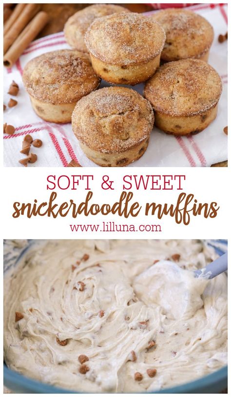 Soft and sweet Snickerdoodle Muffins taste just like their cookie cousin! They're a perfect grab-and-go breakfast or late-night snack. #snickerdoodlemuffins #snickerdoodle #muffins #breakfast Snickerdoodle Mini Muffins, Snickerdoodle Muffins Easy, Snickerdoodle Donut Muffins, Snicker Doodle Muffins, Cookie Dough Muffins, Grab And Go Desserts, Late Snacks, Snickerdoodle Muffins Recipe, Late Night Baking