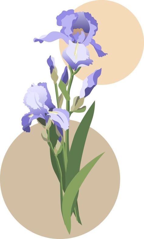 Vector illustration of blue iris flowers bouquet with leaves and stems. Isolated on white background Iris Flowers Bouquet, Iris Illustration, Blue Iris Flowers, Diy School, Blue Iris, Iris Flower, Diy School Supplies, Vector Flowers, Background Background