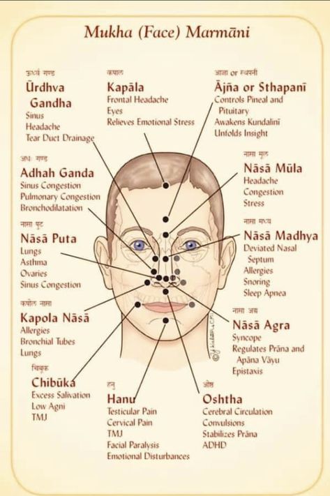 Marma Points, Massage Art, Self Massage, Acupuncture Points, Homeopathic Medicine, Acupressure Points, Head Massage, Kundalini Yoga, Reflexology