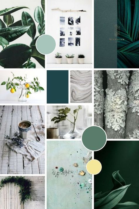 Natural Moodboard, Pantone Cards, Desain Merek, Mood Board Template, Squarespace Website Design, Identity Design Logo, Branding Mood Board, Have Inspiration, Green Colour Palette