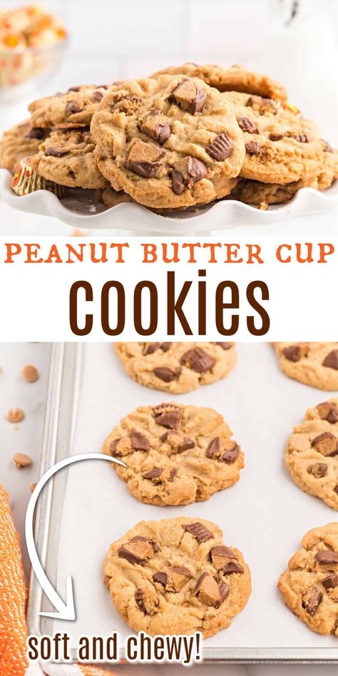 Cookies Using Reeses Peanut Butter Cups, Peanut Butter Cookie With Reese Cup, Peanut Butter Cookies With Peanut Butter Morsels, Starbucks Peanut Butter Cookies, Pb Cookies With Reeses, Recipes With Recess Peanut Butter Cups, Peanut Cup Cookies, Chocolate Chip And Reeses Cup Cookies, Recipes With Reese's Peanut Butter Cups