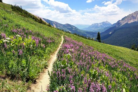 The Best Places to Photograph in Colorado | Loaded Landscapes Best Family Vacation Spots, Colorado Wildflowers, Crested Butte Colorado, Mesa Verde National Park, Family Vacation Spots, Colorado Adventures, Best Family Vacations, Colorado Hiking, Crested Butte