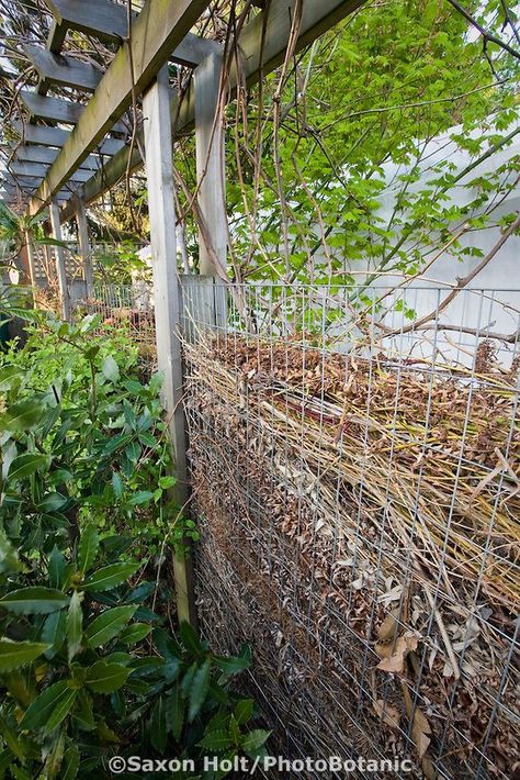 Compost fence, wall of small branches decomposing in backyard sustainable garden by Jennifer Carlson. - no instructions on the build but a great idea, even a 30' wall at 4" wide has more square footage than a 3'x3' compost bin, multiply that by the height of a fence vs a bin and you really have a big composting area. Cerca Natural, Garden Library, Natural Fence, Sustainable Gardening, City Farm, Yard Waste, Garden Compost, Sustainable Garden, Garden Fencing