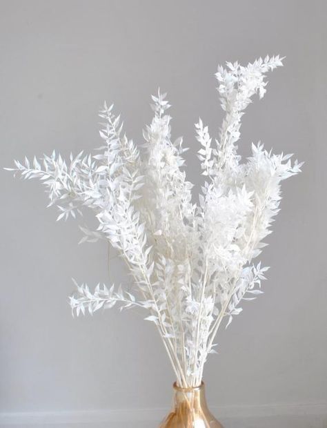 White Ruscus, Cotton Stems, Delivery Photos, Winter Home, Pampas Grass, Home Care, Color Combos, Uk Shop, Dried Flowers