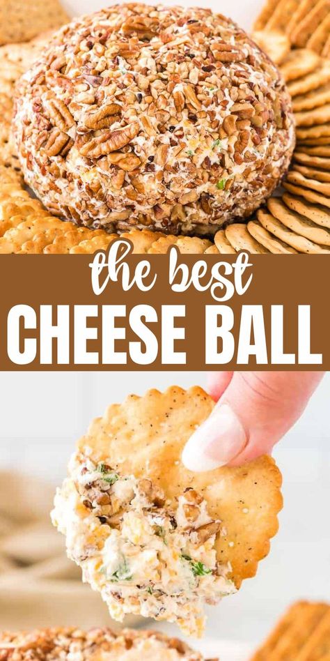 Best Cheese Ball, Cheese Ball Recipes Easy, Cheese Ball Recipe, Holiday Appetizer, Appetizers Easy Finger Food, Best Appetizer Recipes, Finger Foods Easy, Easy Cheese, Dip Recipes Easy