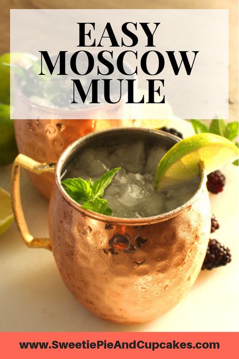 This easy Moscow Mule recipe is the perfect summer cocktail. It's made with three simple ingredients. Tips included on how to purchase copper Moscow Mule mugs and how you can make a variety of fun drinks in them. Looking for yummy drinks for your summertime party? Learn how to make the best Moscow Mules plus a variety of others with your favorite alcohols and fruits. We've included tips to make cranberry, blueberry, blackberry, pineapple, strawberry flavored with your favorite classic vodka. Blackberry Moscow Mule, Easy Moscow Mule Recipe, Vodka Mule, Moscow Mule Recipes, Classic Vodka Cocktails, Moscow Mule Drink, Alcoholic Recipes, Batch Cocktail Recipe, Mule Mugs