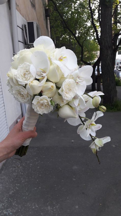 White Orchid Bouquet Wedding, Hanging Bridal Bouquet, Bouquet Wedding Orchid, Waterfall Wedding Bouquets, Wedding Bouquets Orchids, Wedding Bucket Flowers, Orchid Wedding Theme, White Orchid Bouquet, Orchid Bridal Bouquets