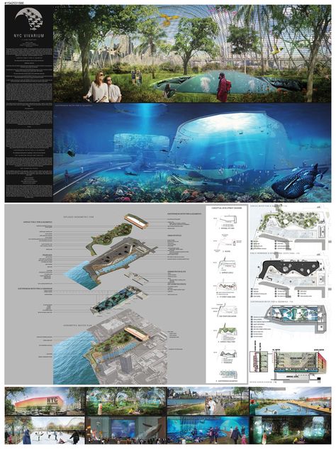 Picture Architecture Boards, Waterfront Architecture, Aquarium Architecture, Zoo Design, Public Aquarium, Zoo Architecture, Aquarium Wedding, Architectural Representation, Museum Interior