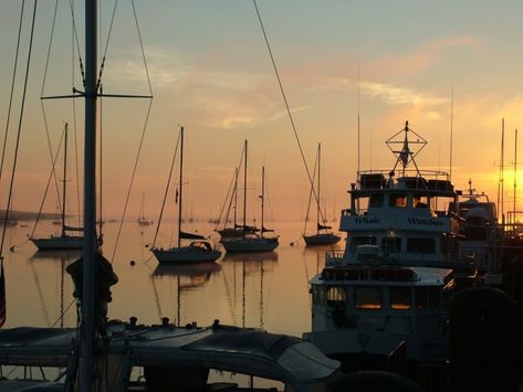 The 14 Most Beautiful Harbors In Massachusetts Harbor Aesthetic, Harbor Island, Ocean Pictures, Us Beaches, Coastal Towns, Travel And Tourism, North Shore, Pictures To Paint, Ocean Beach