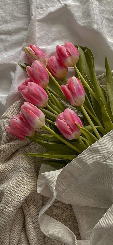 Tulips Wallpaper Aesthetic, Pink Tulips Wallpaper, Pink Tulips Wallpaper Aesthetic, Wallpaper Bunga Iphone, Wallpaper Edgy, Tulips Wallpaper, Floral Wallpaper Iphone, Vintage Flowers Wallpaper, Wallpaper Homescreen