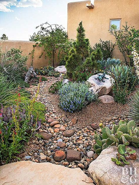 Xeriscape Front Yard, Low Water Landscaping, Xeriscape Landscaping, Water Wise Landscaping, Low Water Gardening, Waterwise Garden, Simple Garden, Drought Tolerant Landscape, Dry Garden