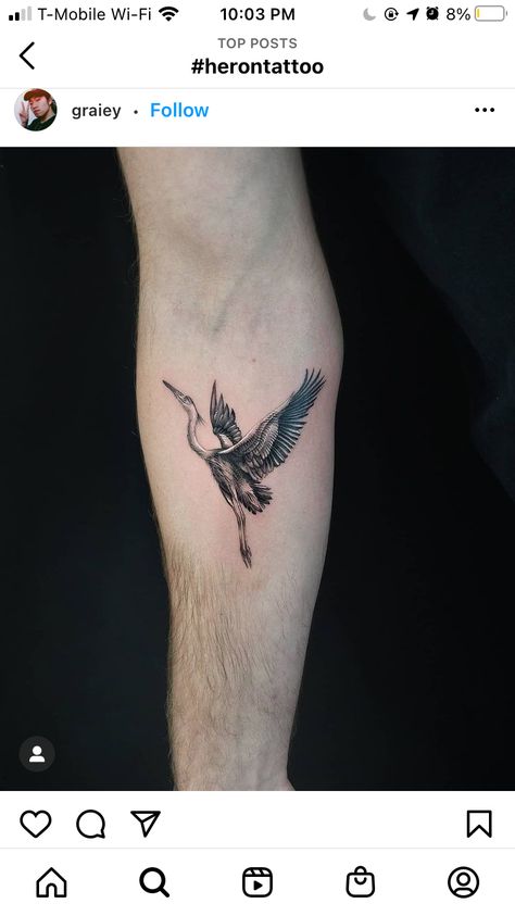 Great Blue Heron Tattoo Simple, Fine Line Heron Tattoo, White Stork Tattoo, Blue Crane Tattoo, Blue Herring Tattoo, Lapwing Tattoo, Stork Tattoo Design, Herron Tattoo, Ibis Tattoo