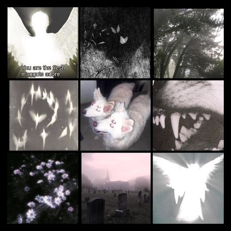 Casscore Aesthetic, Ed Moodboard, Solemn Aesthetic, Emo Aesthetic Moodboard, Aesthetic Character Moodboard, Different Cores And Aesthetics, Aesthetic Character Board, Angel Moodboard Aesthetic, Weird Core Moodboard