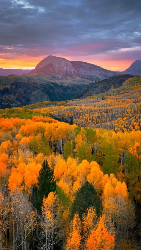 Colorado color palette 🎨 A few snaps from one of the most beautiful fall locations in the country. Which is your favorite (1-4)? | Instagram Colorado Activities, Colorado Fall, Beautiful Landscape Photography, Scenery Nature, Colorado Travel, We Fall In Love, Fall Wallpaper, Nature Aesthetic, Autumn Trees