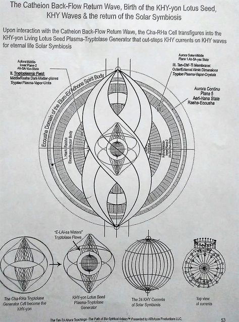 Sacred Geometry Universe, Ashayana Deane, Wiccan Runes, Sacred Geometry Alchemy, Sacred Geometric Symbols, Scared Geometry, Quantum Physics Spirituality, Mathematics Geometry, Lotus Seed