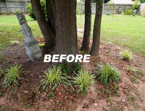 planting under mature trees - the before Plants Under Trees Ideas, Garden Ideas Under Trees, Front Yard Tree Landscaping, Mulch Around Trees, Tree Mulch, Garden Design Layout Landscaping, Trees For Front Yard, Plants Under Trees, Landscaping Around Trees