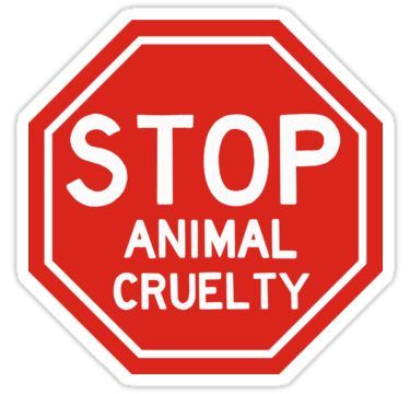 Stop animal cruelty sticker Sticker Organizational Hacks, Hobbies For Men, Stop Animal Cruelty, Animal Protection, Save Animals, Glossier Stickers, Transparent Stickers, Wall Stickers, Photographic Print