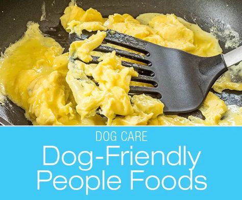 Dog-Friendly People Foods: Can I Give My Dog Scrambled Eggs? Dog Breakfast Ideas, Breakfast Ideas For Dogs, Dog Breakfast Recipes, Leftover Egg Yolks Recipes, Puppy Pampering, Eggs For Dogs, Can Dogs Eat Eggs, Oreo Food, Dog Breakfast