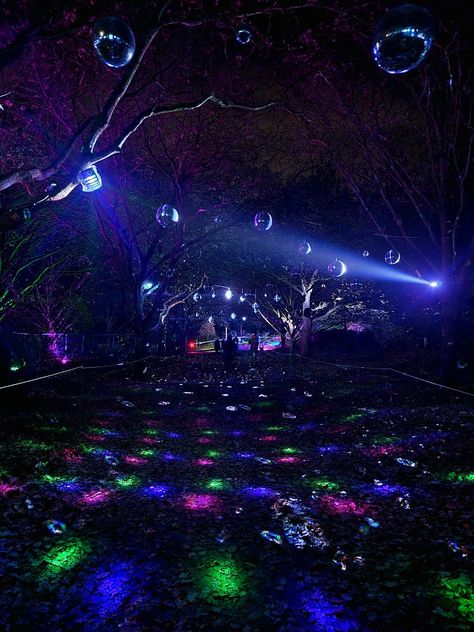 Party Place, Party In The Woods Aesthetic, Woods Party Aesthetic, Party In The Forest, Fairy Disco Party, Woodland Festival, Forest Party Aesthetic, Dark Fairy Party, Party In The Woods