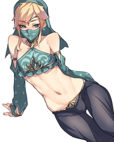 Link Gerudo Outfit, Gerudo Outfit, Legend Of Zelda Midna, Gerudo Link, Link Fan Art, Princesa Zelda, Anime Traps, Zelda Art, Legend Of Zelda Breath