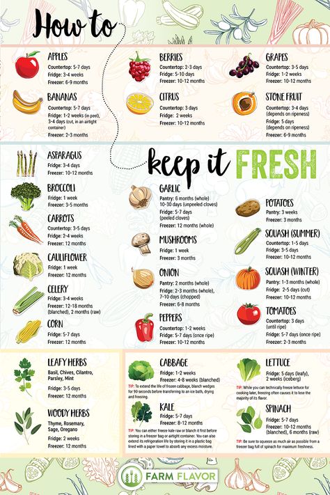 Food Shelf Life, Food Shelf, Prevent Food Waste, Fruit And Vegetable Storage, Vegetable Storage, Food Info, Cooking Basics, Reduce Food Waste, Food Facts