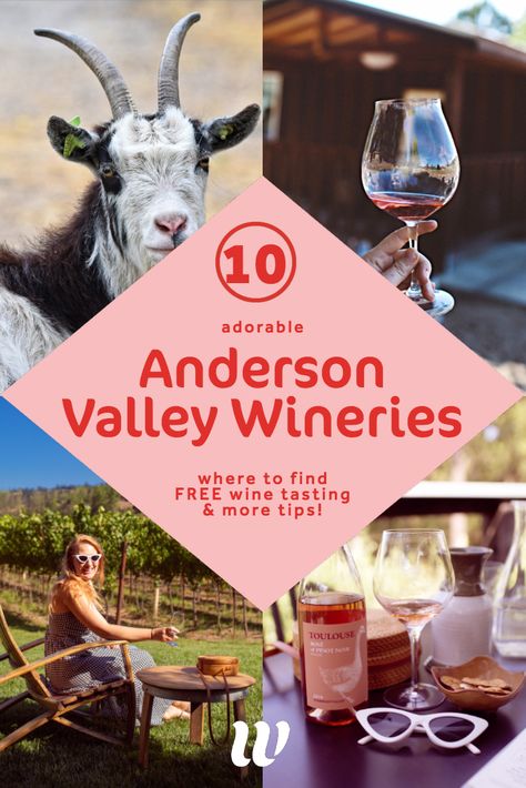 Anderson Valley Wineries, Anderson Valley California, Wine Map, Pinot Noir Wine, Fort Bragg, Anniversary Trips, I Want To Travel, Wine Tour, Tasting Room