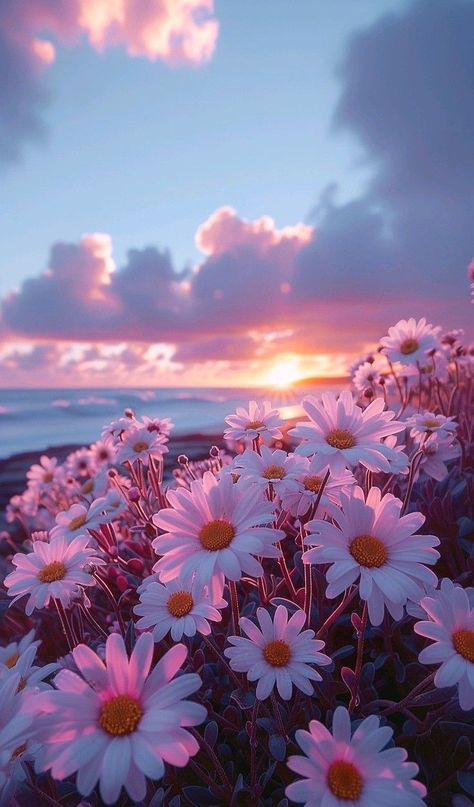 Pretty Pictures Aesthetic, Flowers Sunset, Cute Images For Wallpaper, Nature Photography Flowers, Pretty Nature, Vintage Flowers Wallpaper, Iphone Wallpaper Hd Nature, Flower Iphone Wallpaper, Pretty Backgrounds