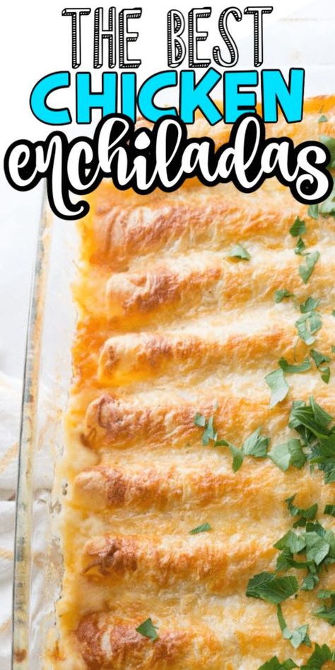 White Chicken Enchiladas Corn Tortillas, Recipes Using White Corn Tortillas, White Corn Tortilla Recipes, Best White Chicken Enchiladas, Chicken Enchiladas With White Sauce, Enchiladas With White Sauce, Creamy White Chicken Enchiladas, White Sauce Enchiladas, Enchiladas Recipes