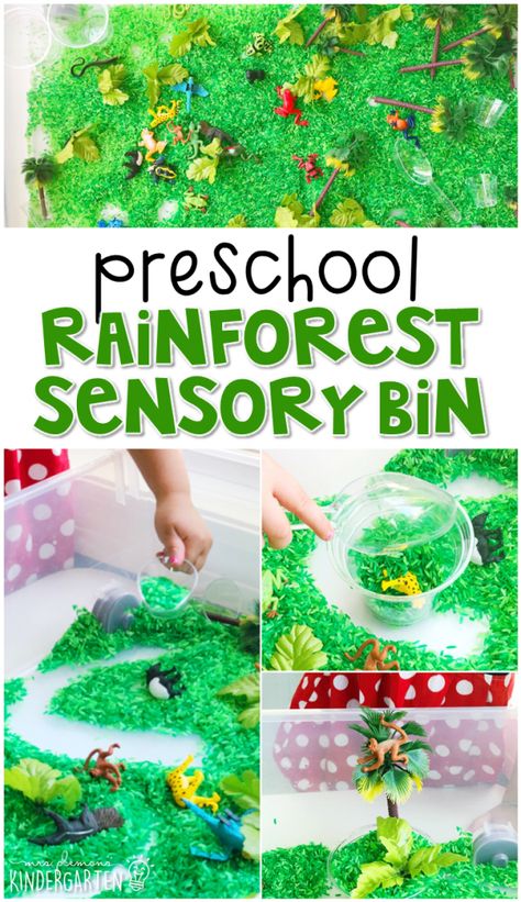 Preschool: Rainforest - Mrs. Plemons' Kindergarten Rainforest Dramatic Play, Rainforest Activities For Toddlers, Rainforest Games, Preschool Rainforest, Jungle Theme Activities, Rainforest Preschool, Rainforest Classroom, Rainforest Crafts, Preschool Jungle