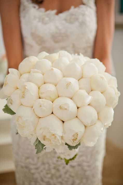 All white closed peonies: http://www.stylemepretty.com/2015/06/10/the-25-prettiest-peony-bouquets/ Pretty Wedding Bouquet, Peony Bouquet Wedding, Peony Wedding, Peonies Bouquet, Mod Wedding, White Peonies, Deco Floral, Pretty Wedding, Bride Bouquets